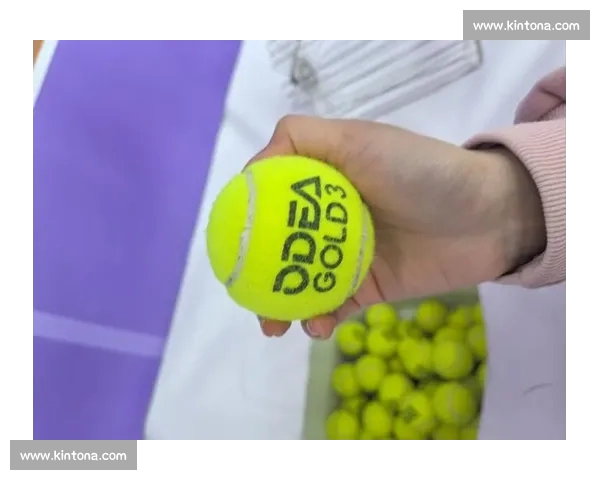 激情挥拍赛场争锋书写网球竞技时代新传奇故事的荣耀篇章与梦想路