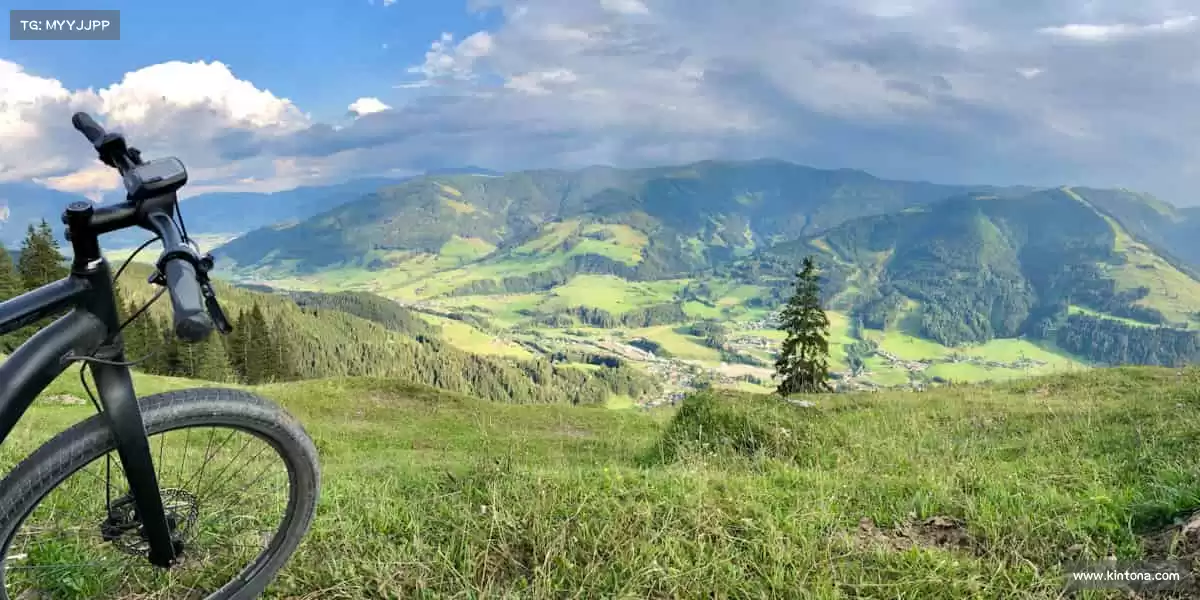 我们的核心竞争力